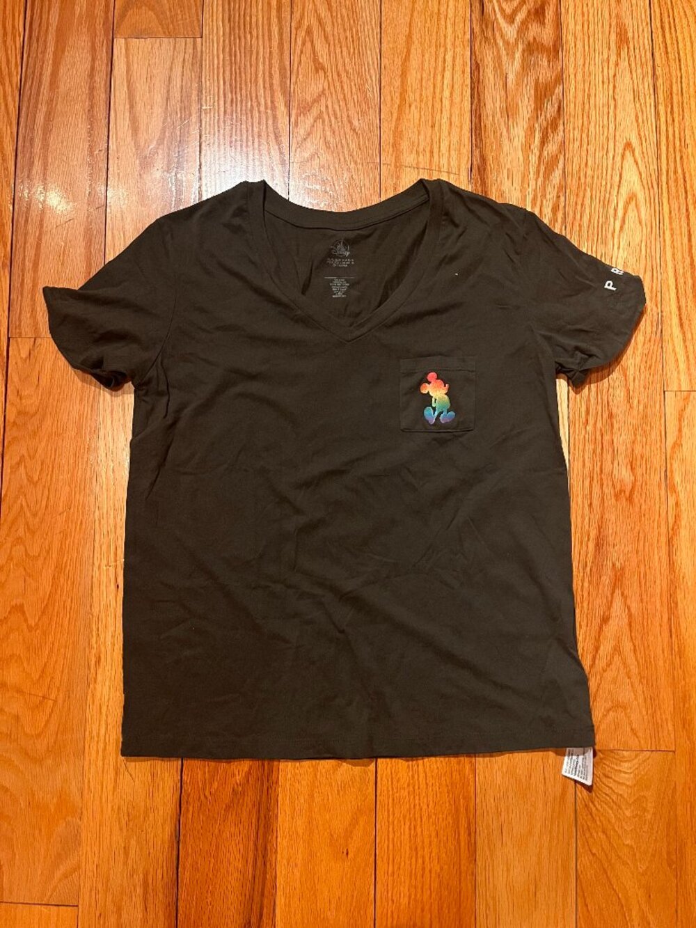 Disney LGBTQ+ Pride T-Shirt